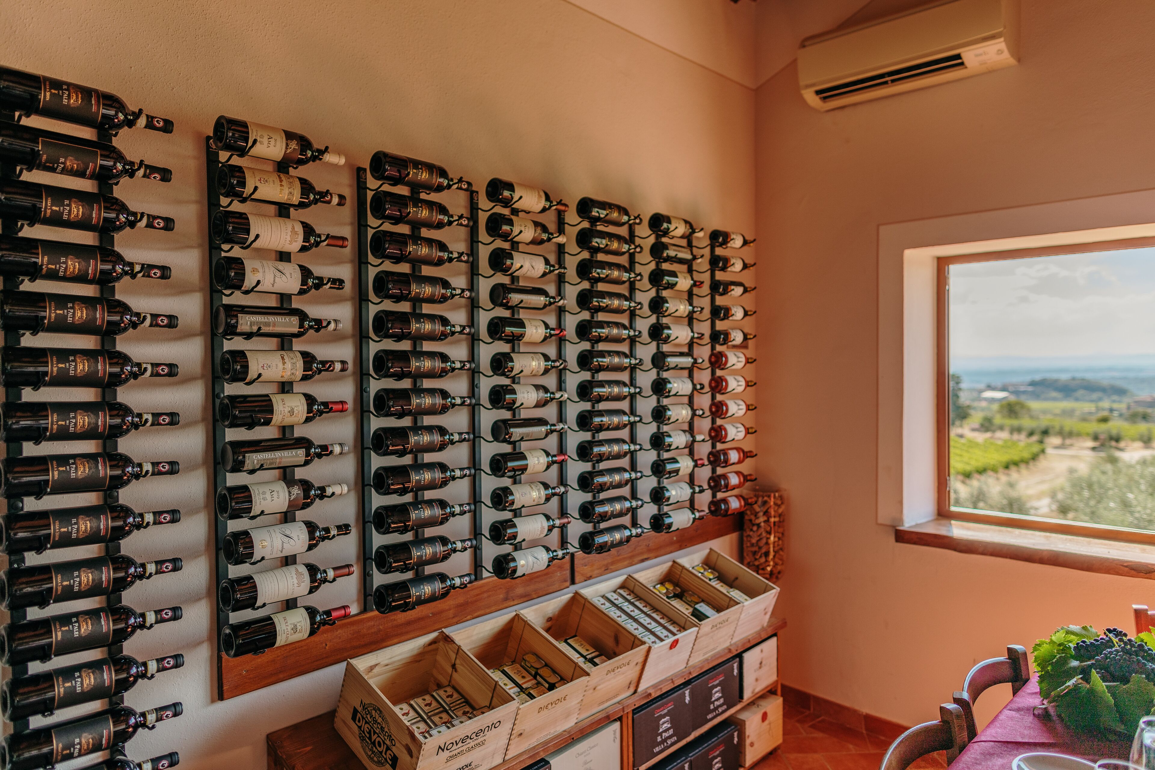 A wine cellar with numerous bottles organized on shelves and wooden boxes.