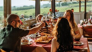 A group of people toasting with wine glasses at a table with a view of the countryside. - Villa di Sotto (Castelnuovo Berardenga)