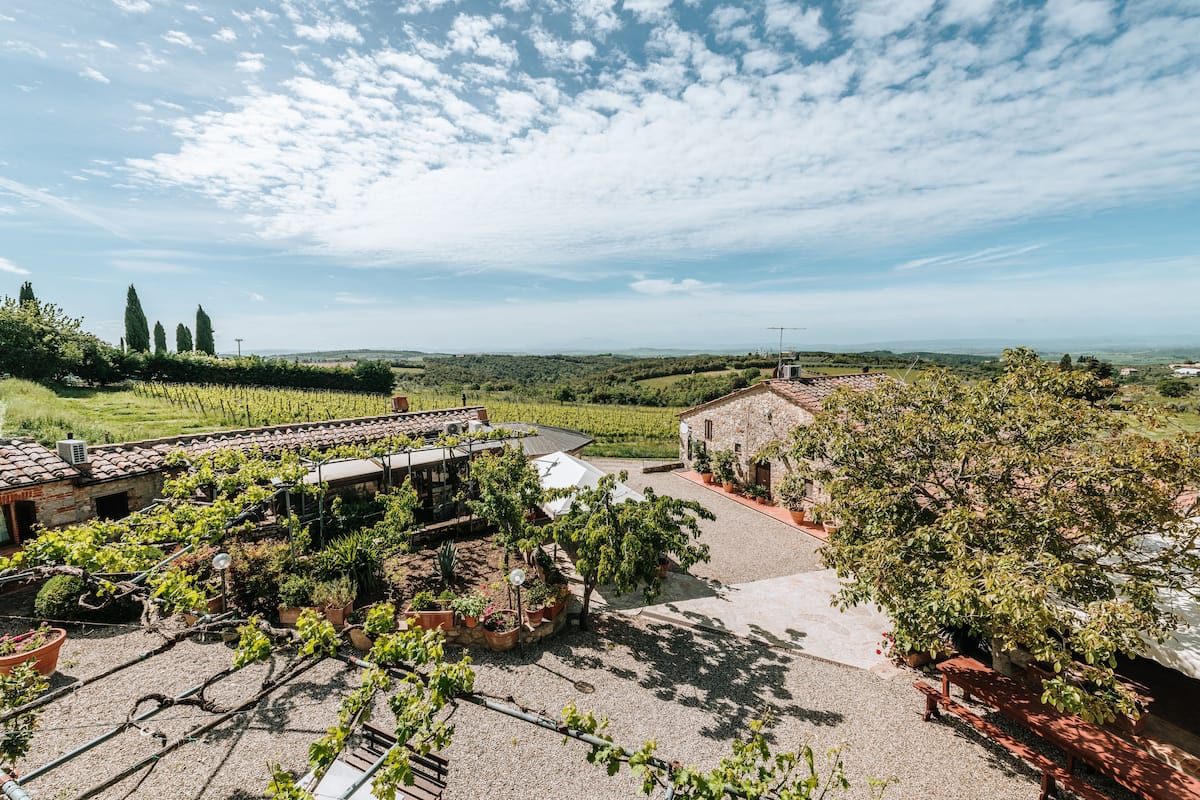 Ein Weinberg mit Rebenzeilen, ein Steinhaus und ein klarer Himmel.
