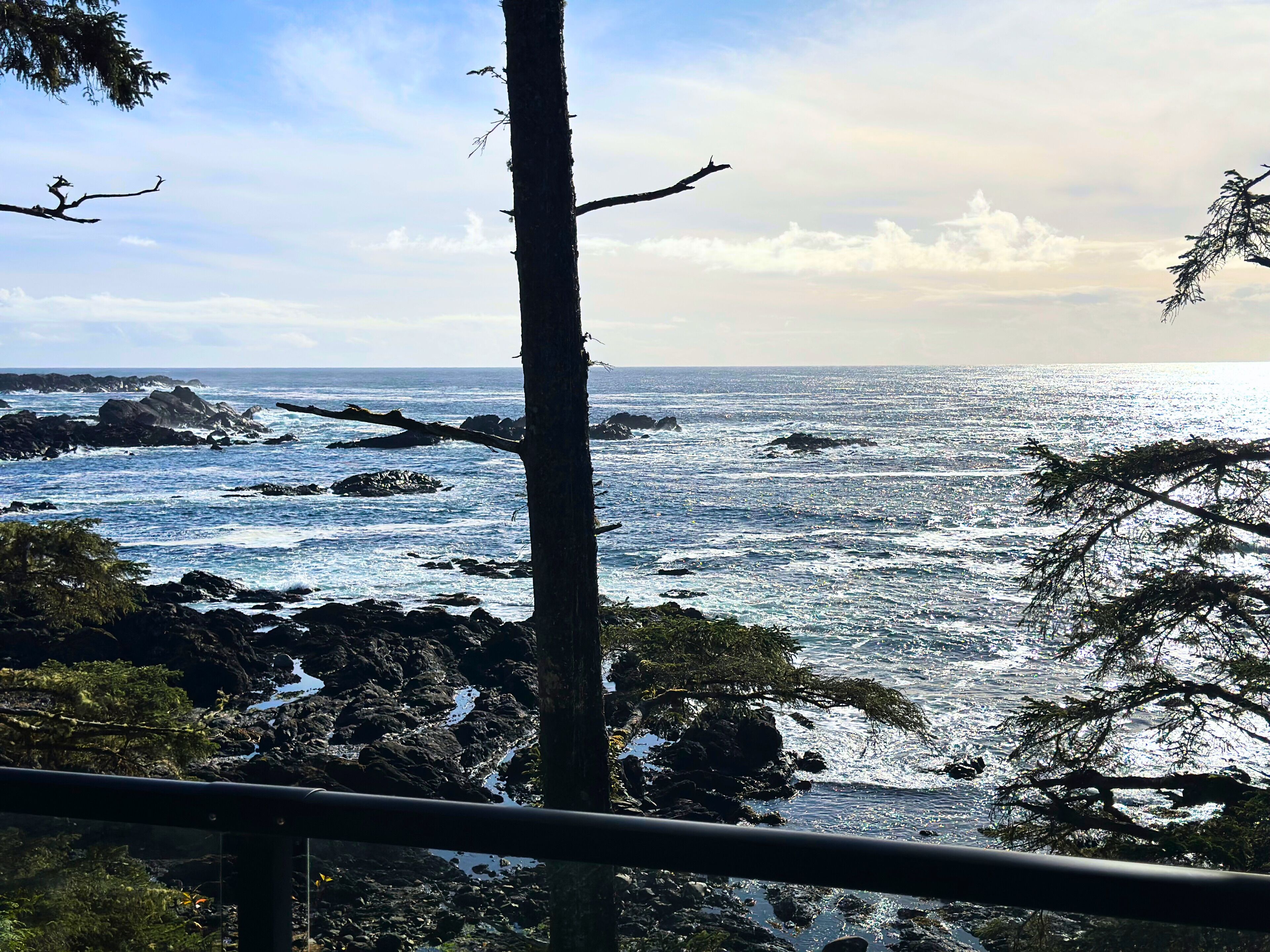 1 Bedroom Trail Ocean View Suite (short distance from main lodge)