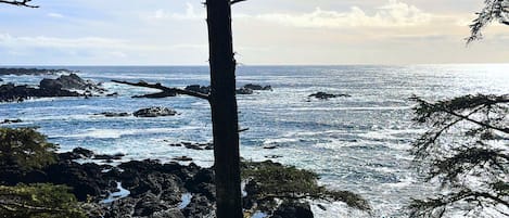 1 Bedroom Trail Ocean View Suite (short distance from main lodge) | Caja de seguridad en la habitación y tabla de planchar con plancha