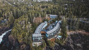 Uklassifisert bilde, 4 av 44, knapp