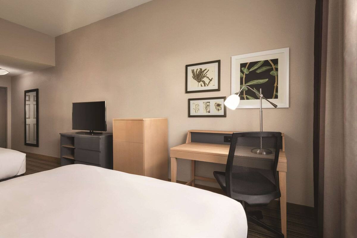 A hotel room with a bed, a desk, a chair, a television, and framed botanical artwork on the wall.
