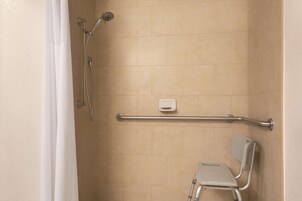 A shower area with a grab bar, a showerhead, and a wheelchair-accessible bench.