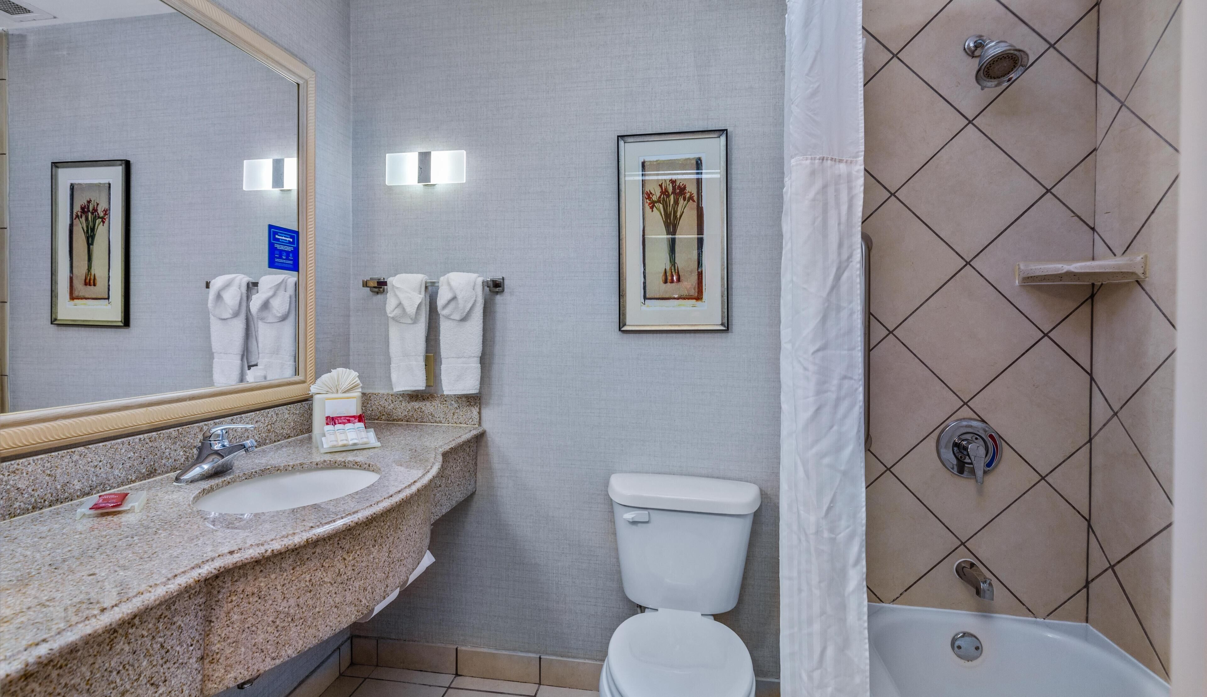 Een badkamer met een wastafel, toilet en douche. Handdoeken en een ingelijste foto hangen aan de muur.