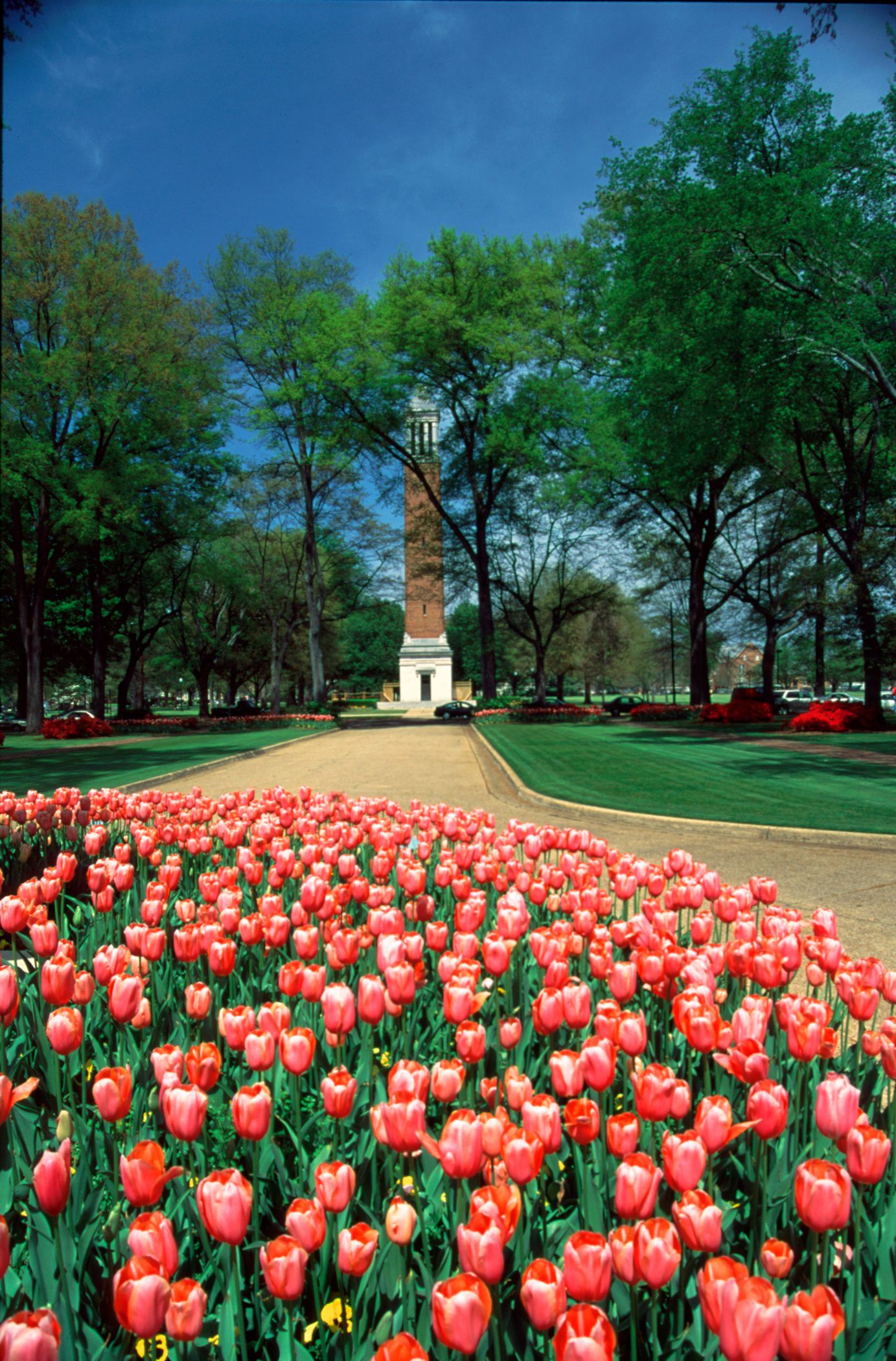 A park with a field of red tulips, a central monument, and surrounding trees.