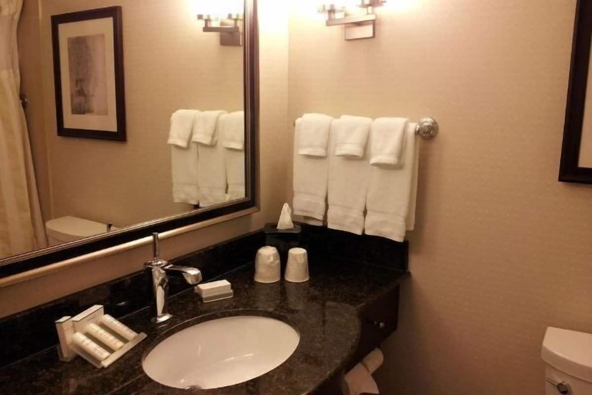 Kylpyhuone | Suihkun ja ammeen yhdistelmä, designer-hygieniatuotteet, hiustenkuivaaja