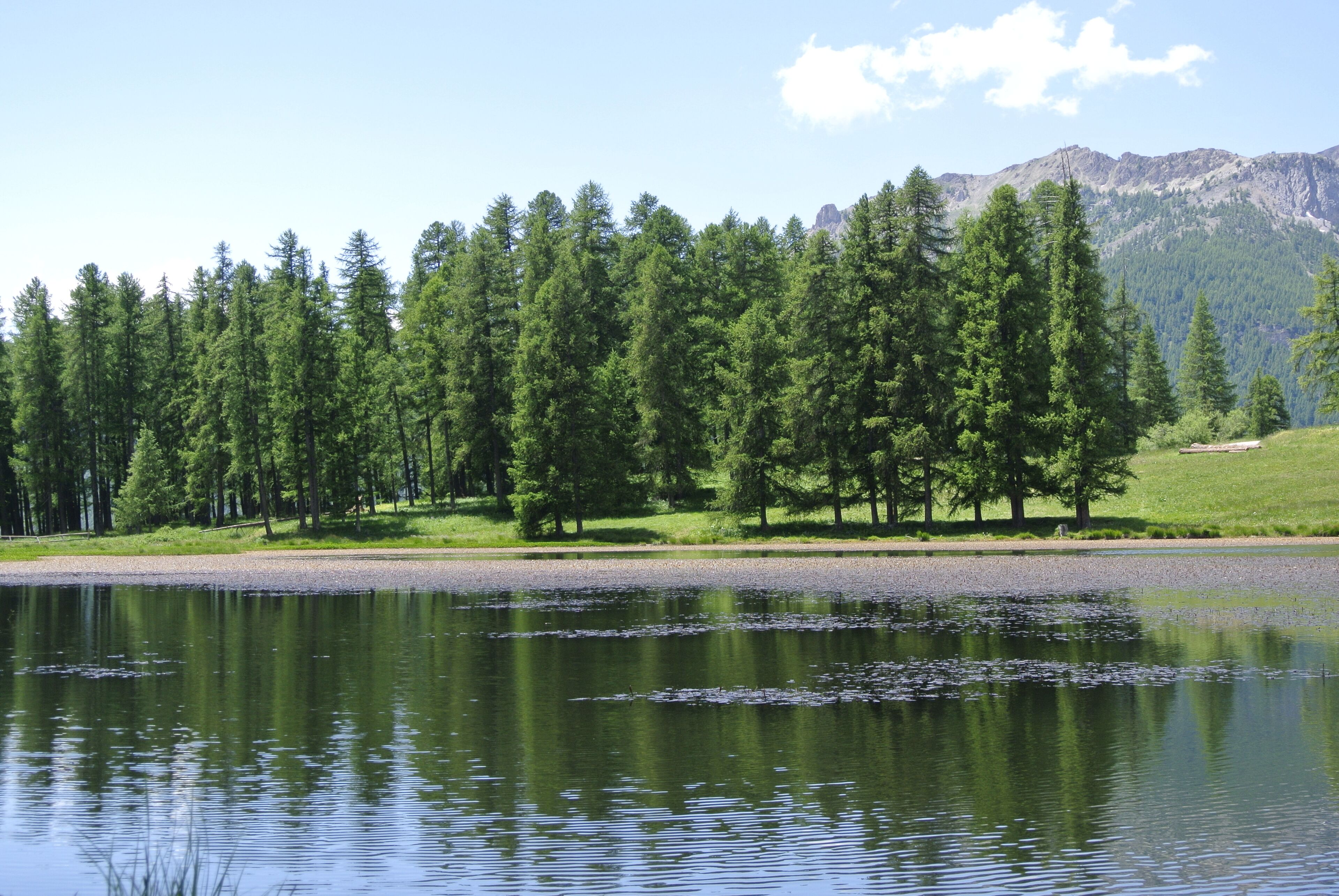 Un lac paisible, bordé d’une forêt dense et verdoyante, avec une chaîne de montagnes en arrière-plan.