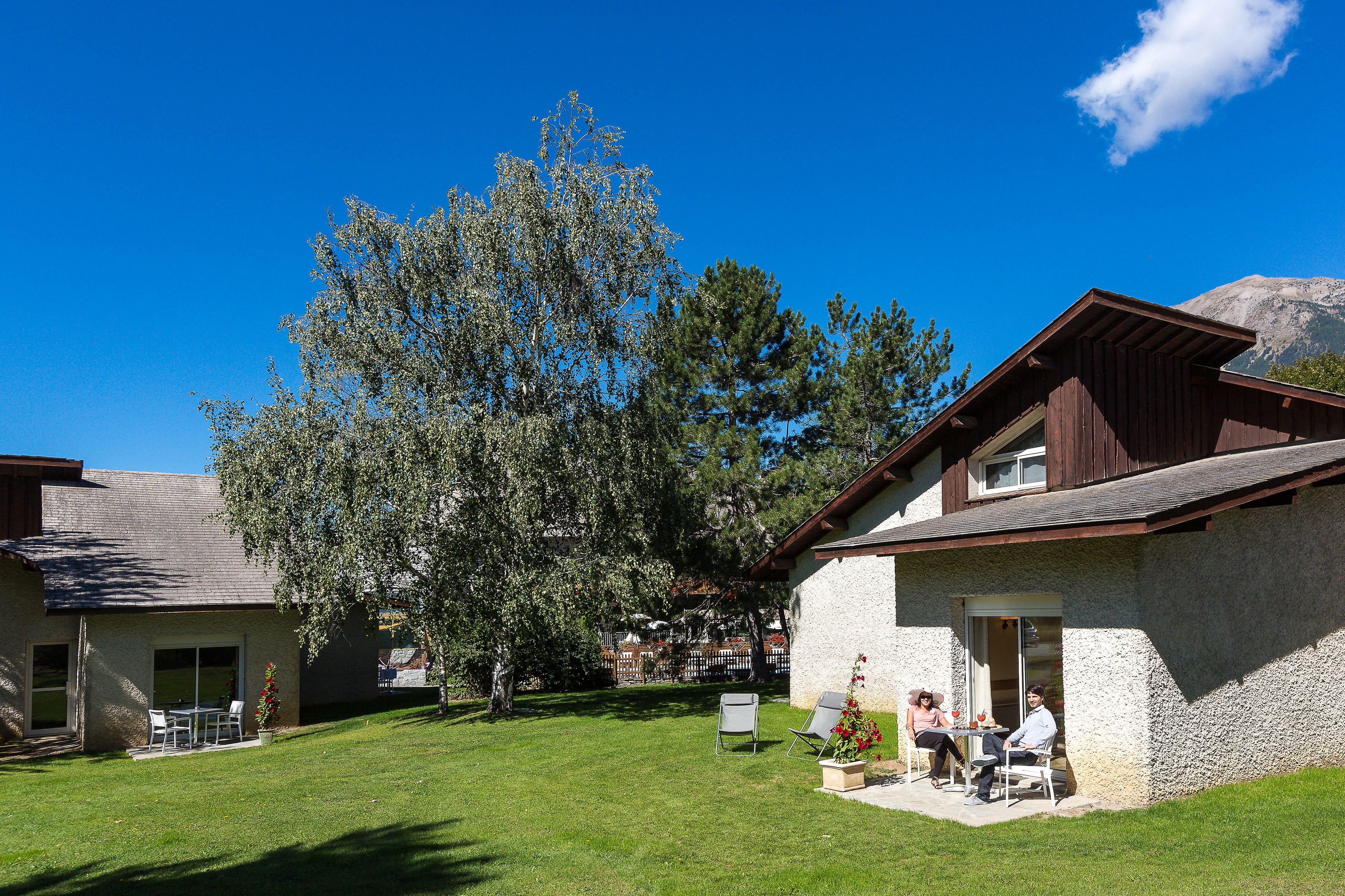 A house with a stone exterior, a lawn, and a large tree.