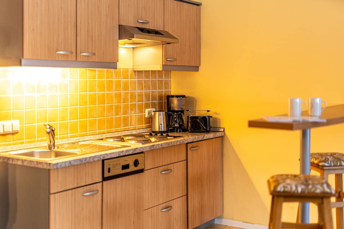 classic apartment, 1 queen bed with sofa bed, non smoking, mountain view | private kitchen | fridge, stovetop, dishwasher, high chair