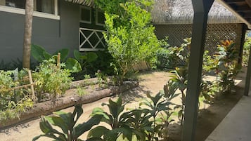 Vista desde la habitación