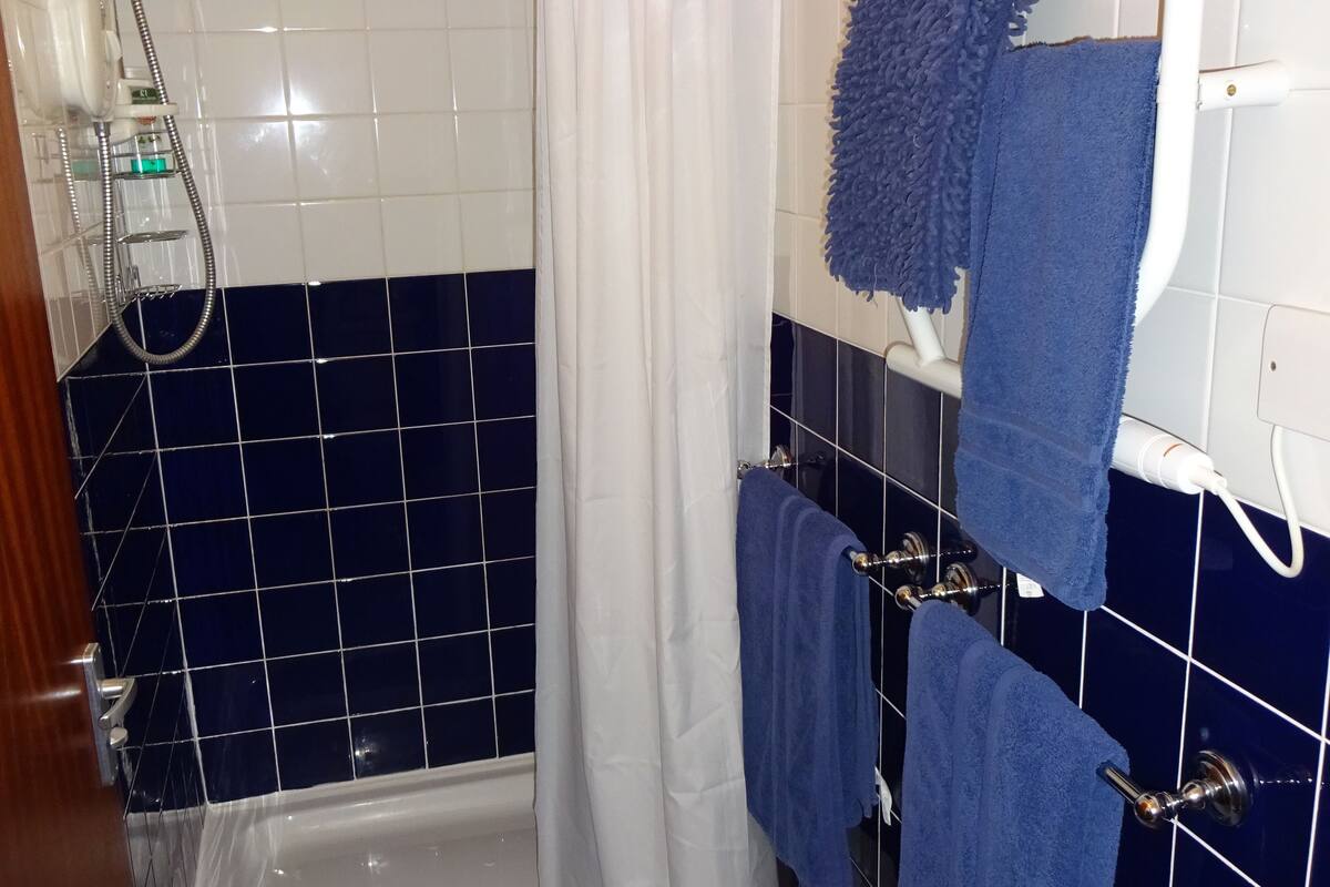 shower, free toiletries, hair dryer, bidet