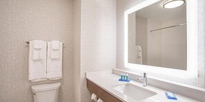 Hair dryer, towels - Holiday Inn Express Troutville by IHG (Troutville)