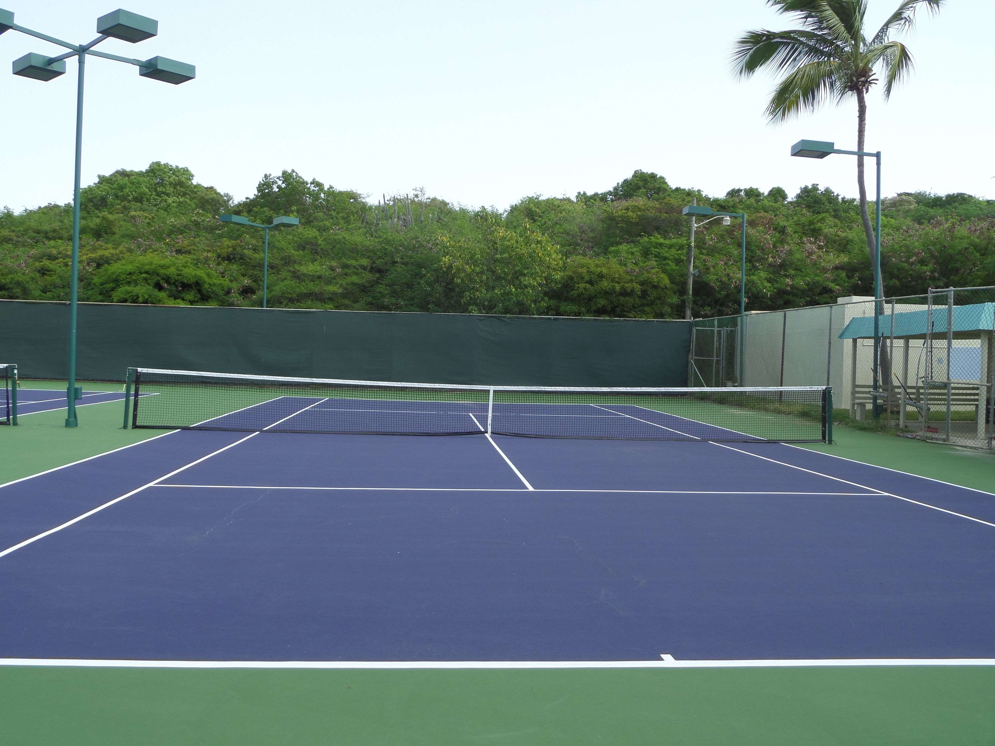 Een tennisbaan met een net, omringd door groen hekwerk en palmbomen.