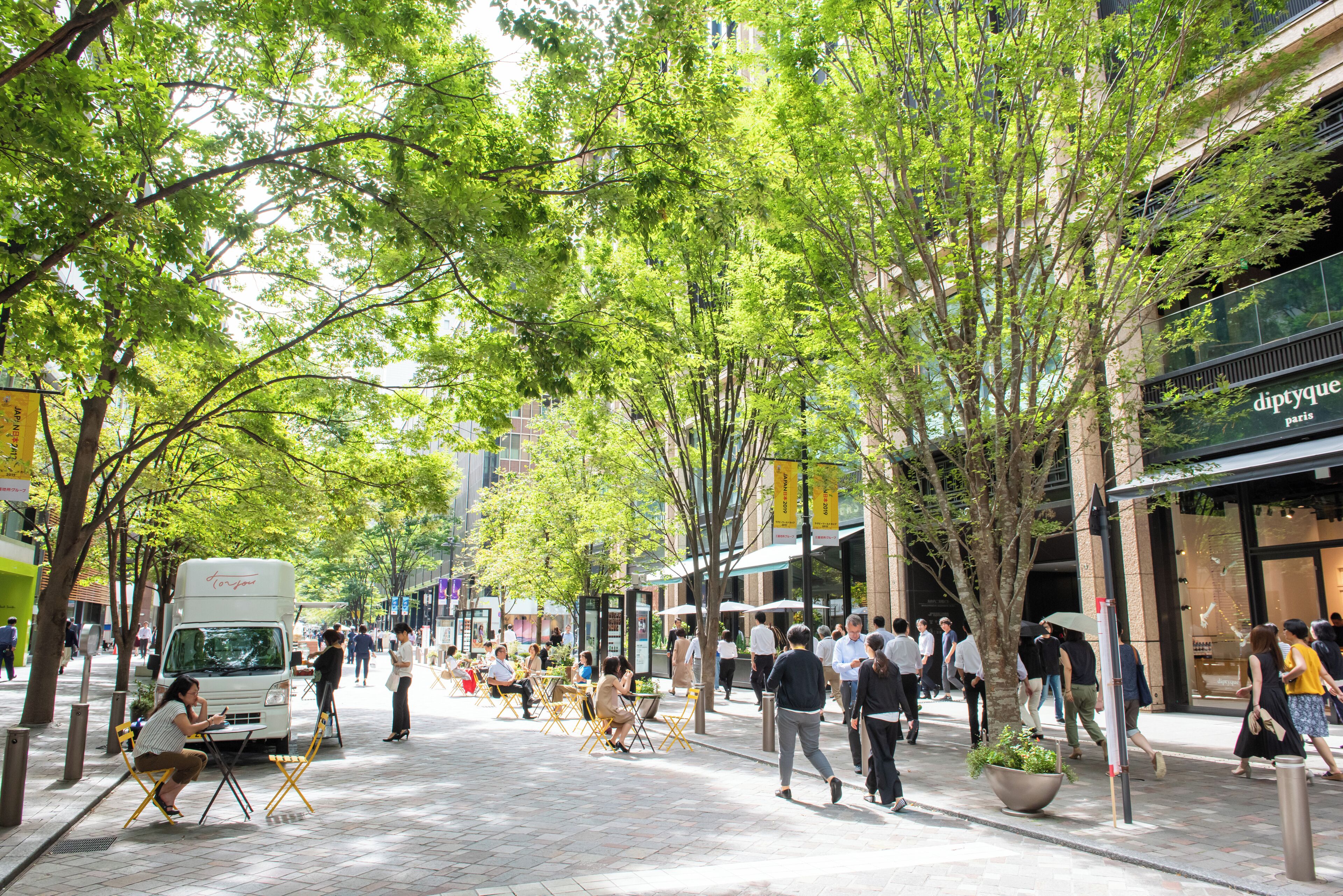 land view from property