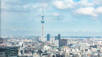 A cityscape with a prominent tower in the center.