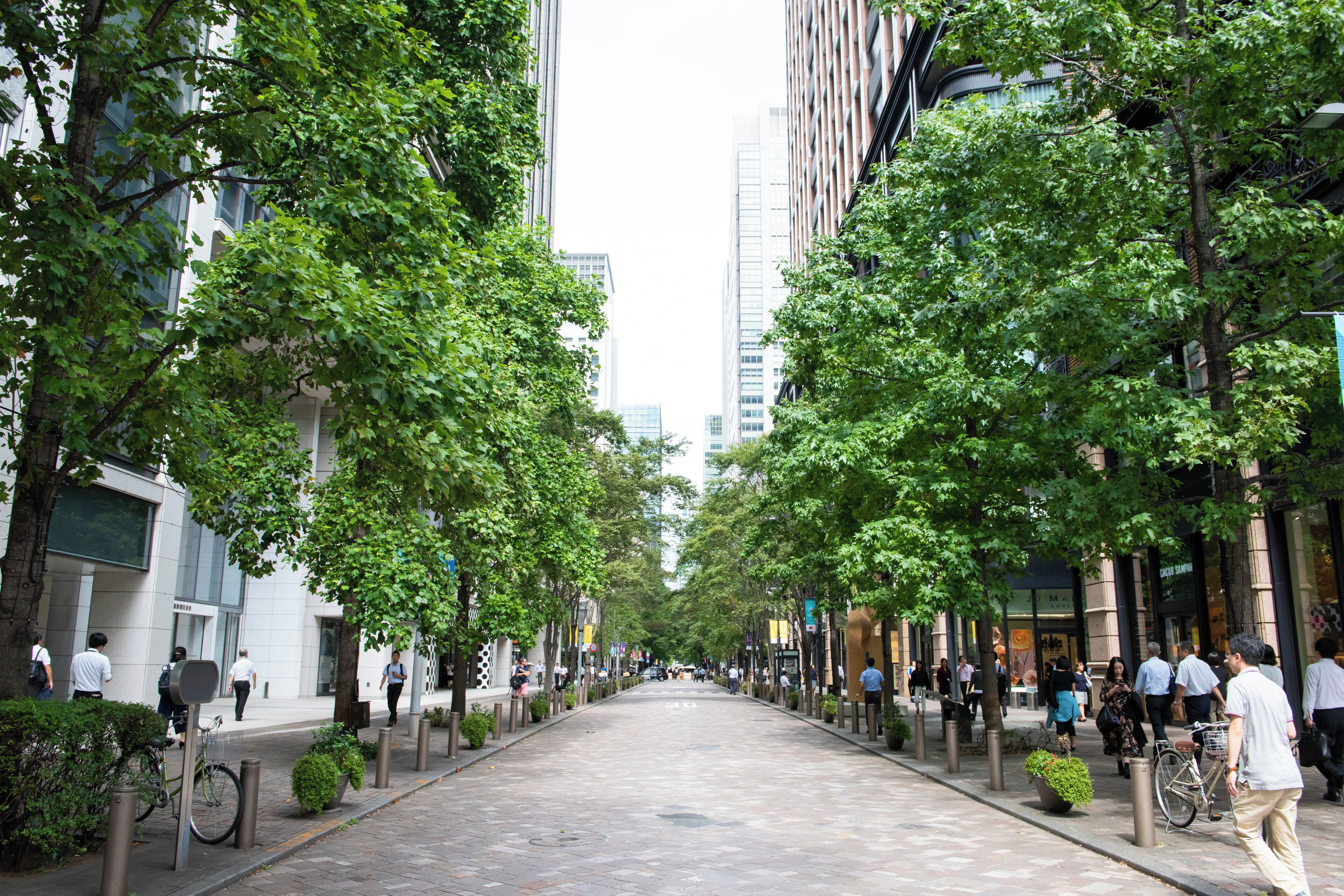 Photo - Shangri-La Tokyo