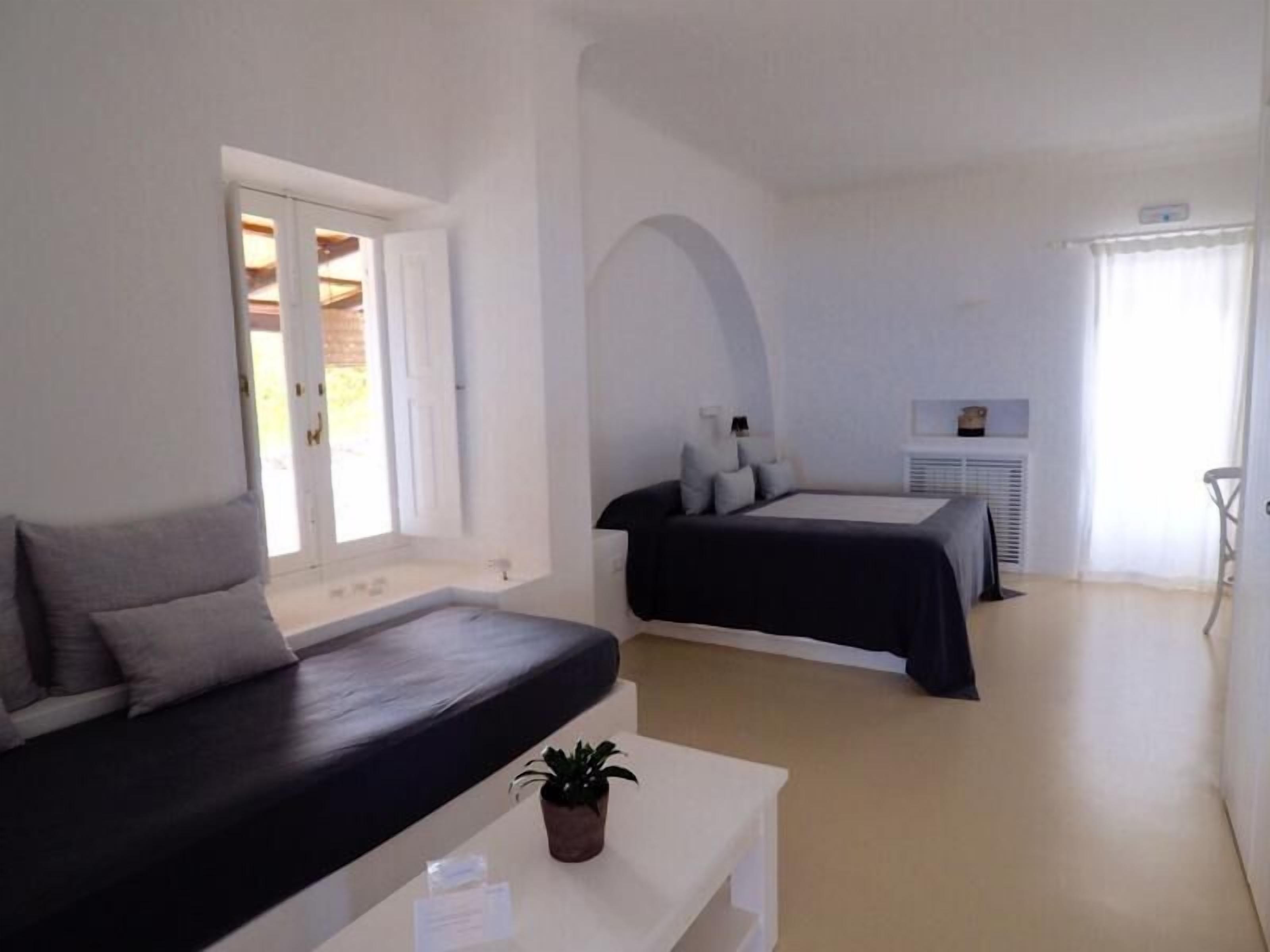 A room with a bed, a sofa, a small table with a plant, and a window with a view.