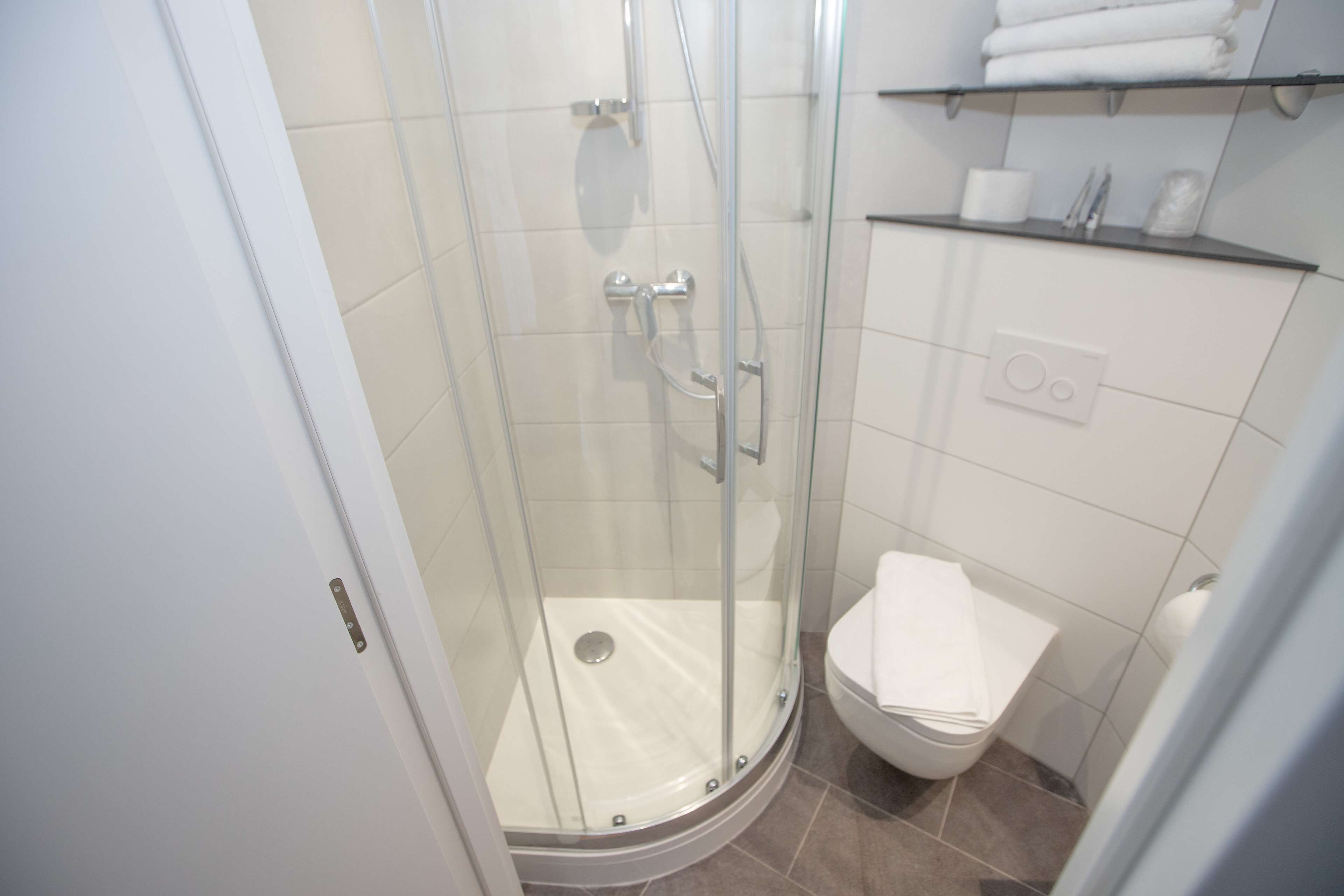 A modern bathroom with a glass-enclosed shower, a toilet, and a shelf with toiletries.