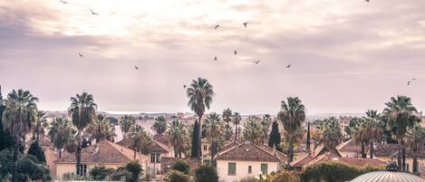 A residential area with houses, palm trees, and a gazebo.