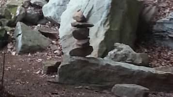 A natural outdoor setting with a stack of stones on a rock, surrounded by other rocks and a forest floor.