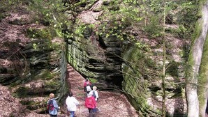A group of hikers on a forest trail with rocky terrain and moss-covered trees. - Hotel Ritschlay (Bollendorf)