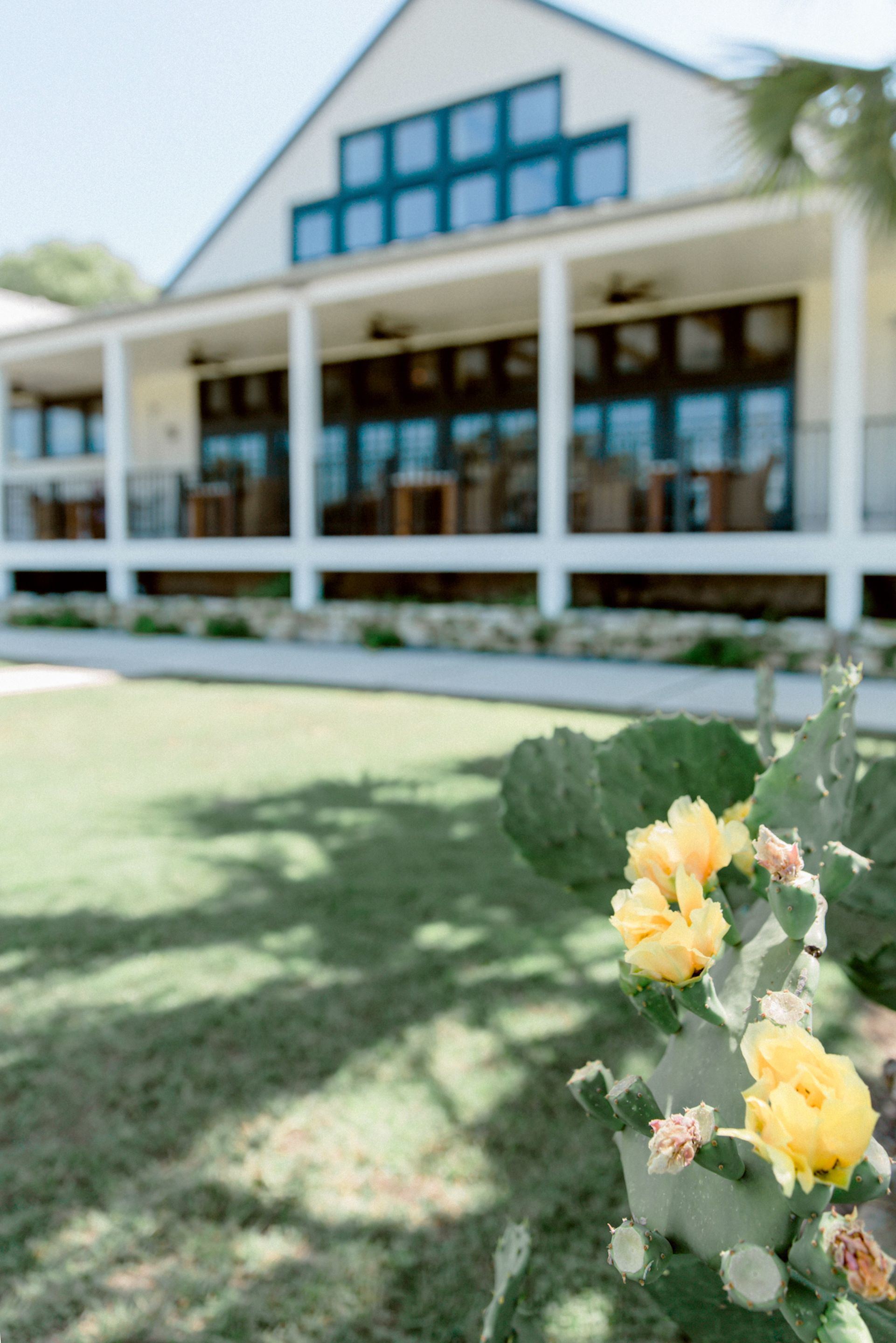 Outdoor wedding area