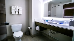 Une salle de bain moderne avec des toilettes, un lavabo et un miroir.