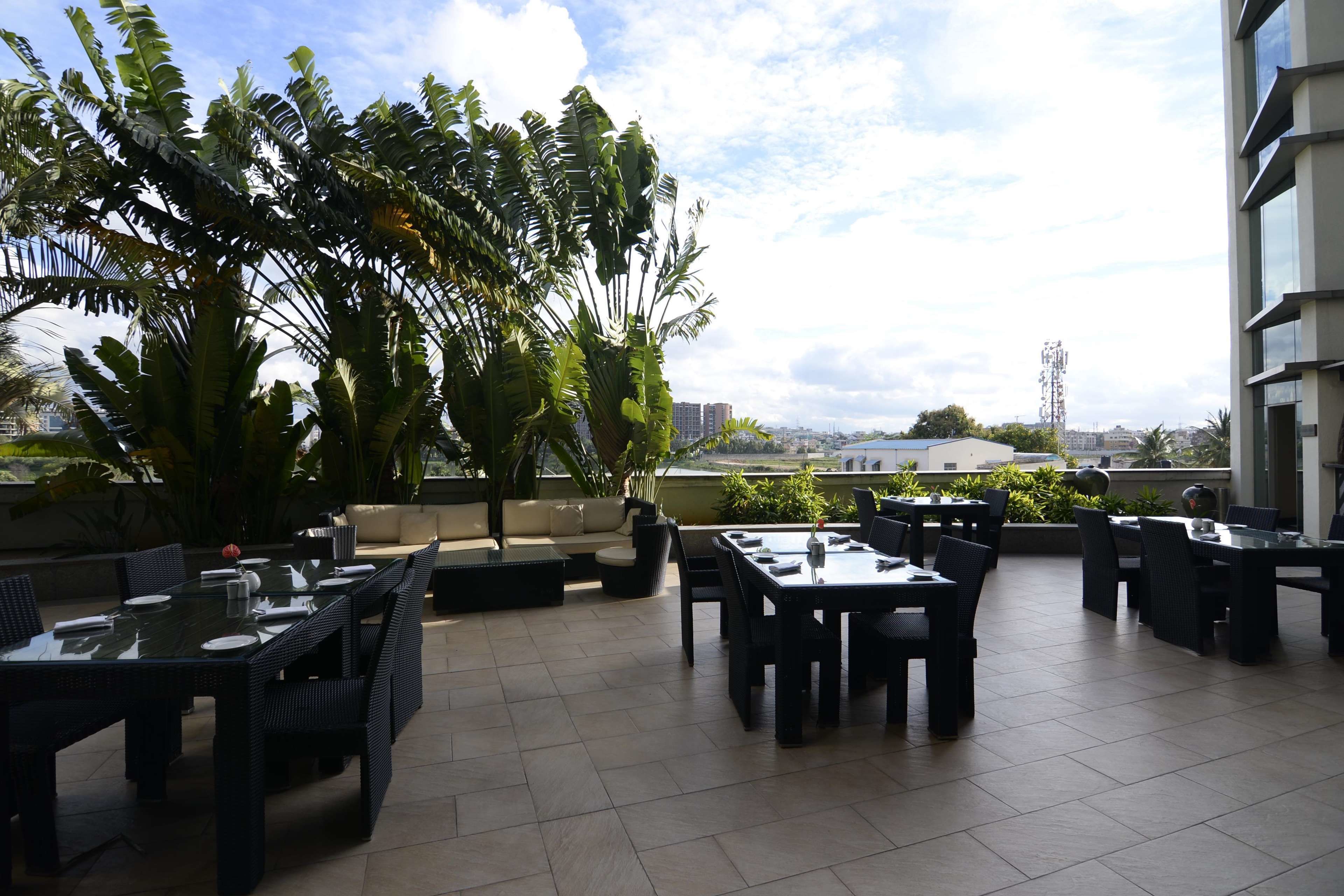 An outdoor dining area with tables and chairs, surrounded by large tropical plants.