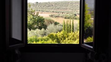 Twin Room | View from room