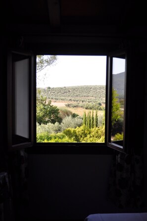 Chambre avec lits jumeaux | Vue de la chambre