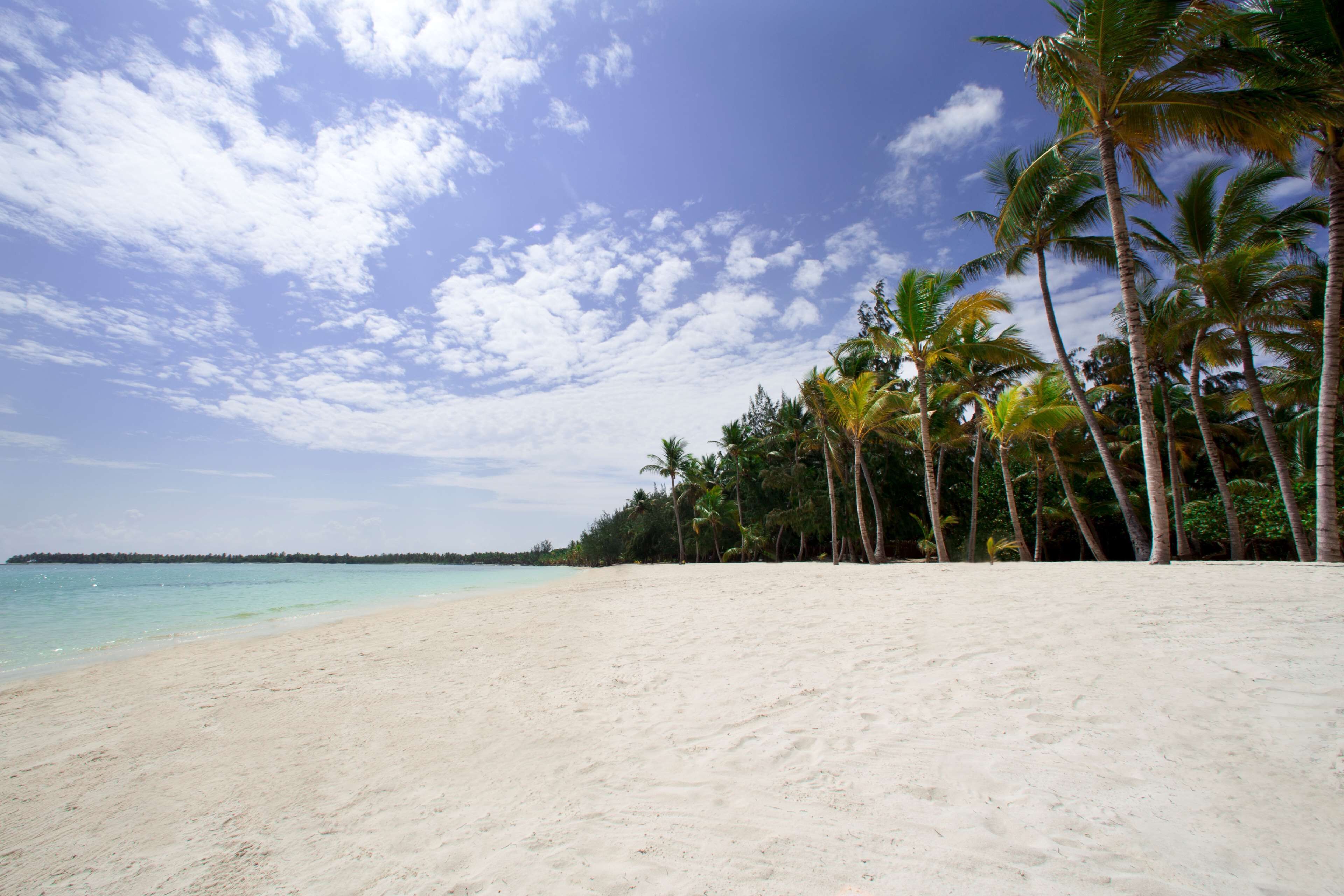 Une plage de sable blanc bordée de palmiers.