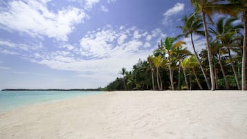 Une plage de sable blanc bordée de palmiers.