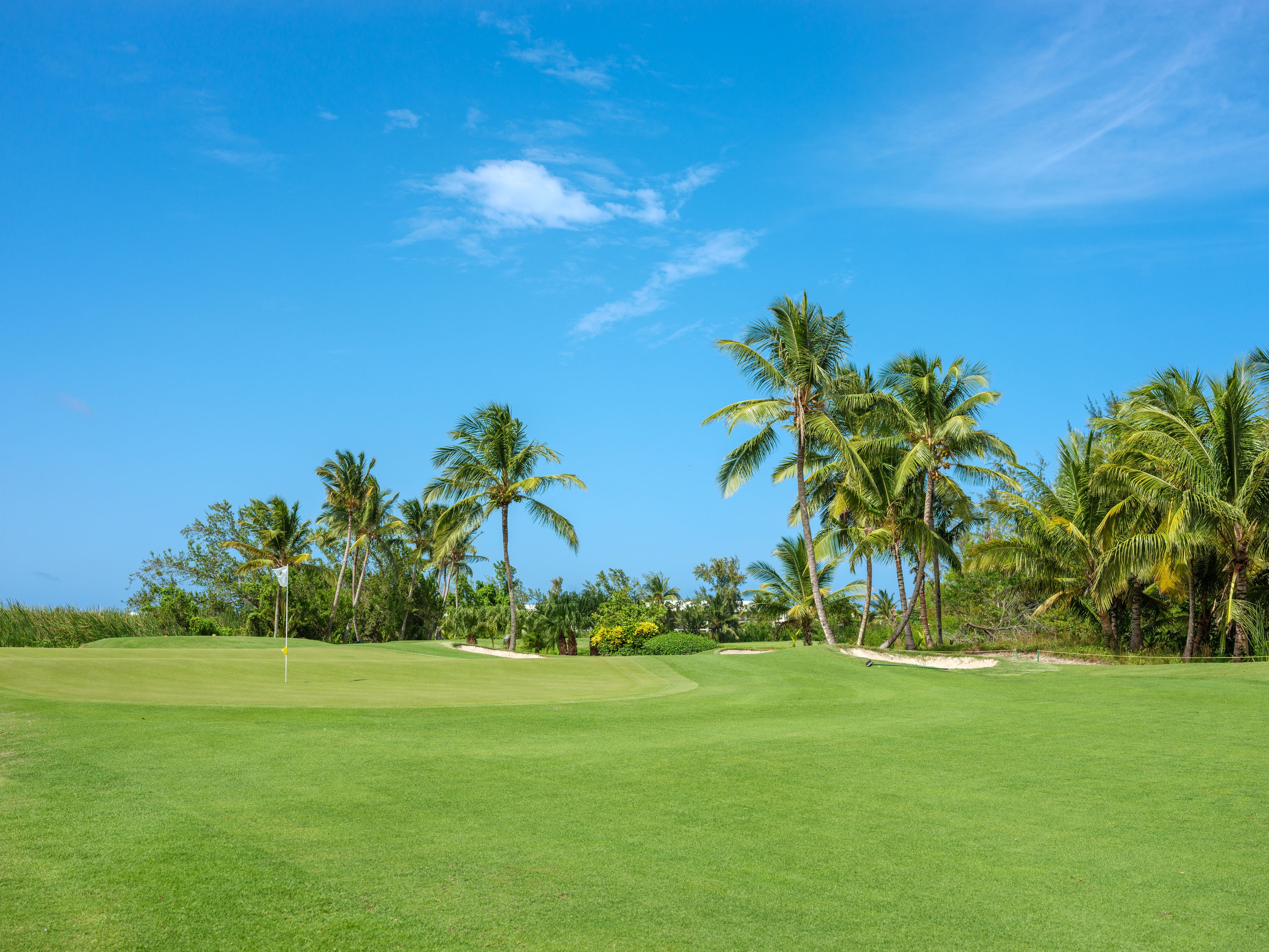Photo - Barceló Bávaro Palace All Inclusive