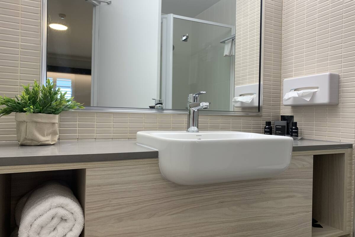 A bathroom with a white sink, a mirror, a potted plant, and a towel rack.