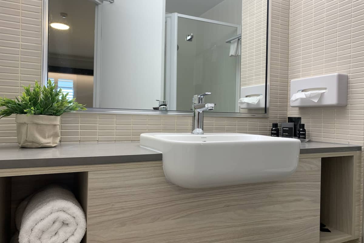 shower, free toiletries, hair dryer, towels