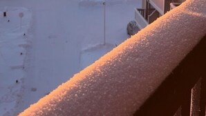 Un paysage enneigé avec un bâtiment et des arbres recouverts de neige.