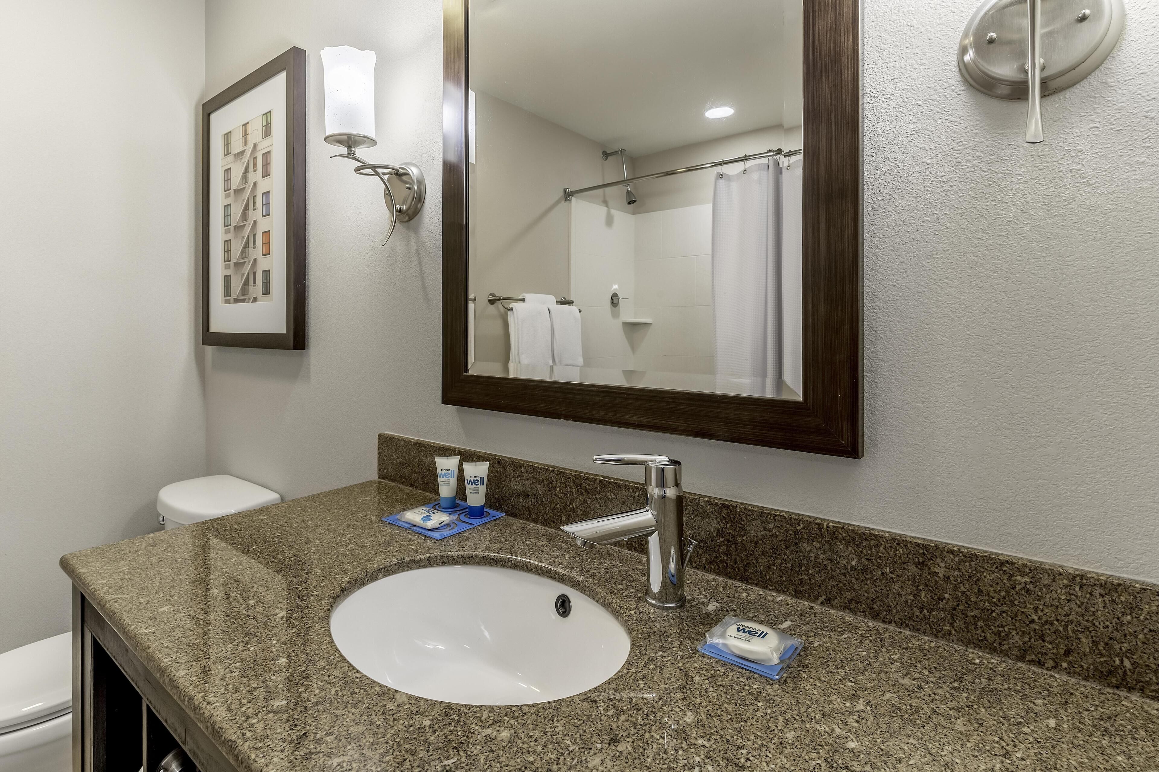 A bathroom with a granite countertop, a white sink, a mirror, and a framed picture on the wall.