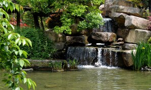 Utsikt fra overnattingsstedet