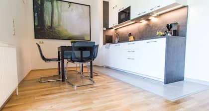 Apartment Hofwiesengasse