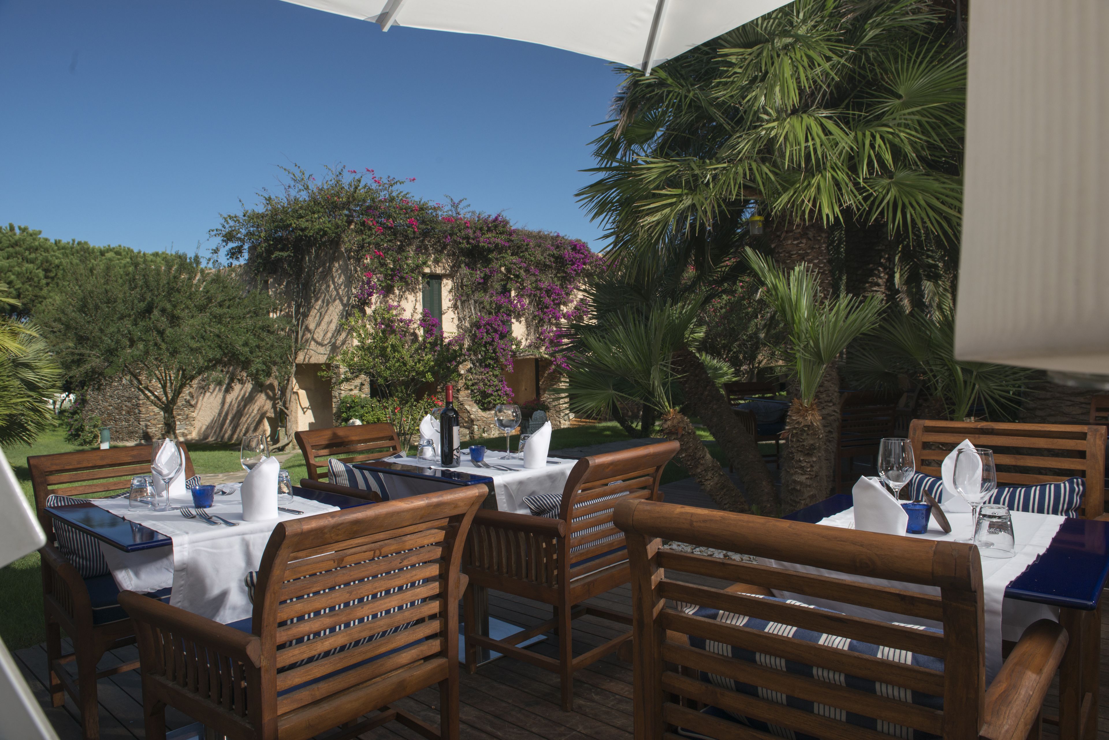 Un área de comedor al aire libre con mesas y sillas de madera, cubierta por un paraguas blanco, rodeada de follaje y un edificio con flores moradas.