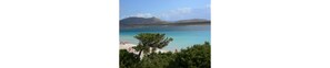 Private beach nearby, white sand, free beach shuttle, beach volleyball