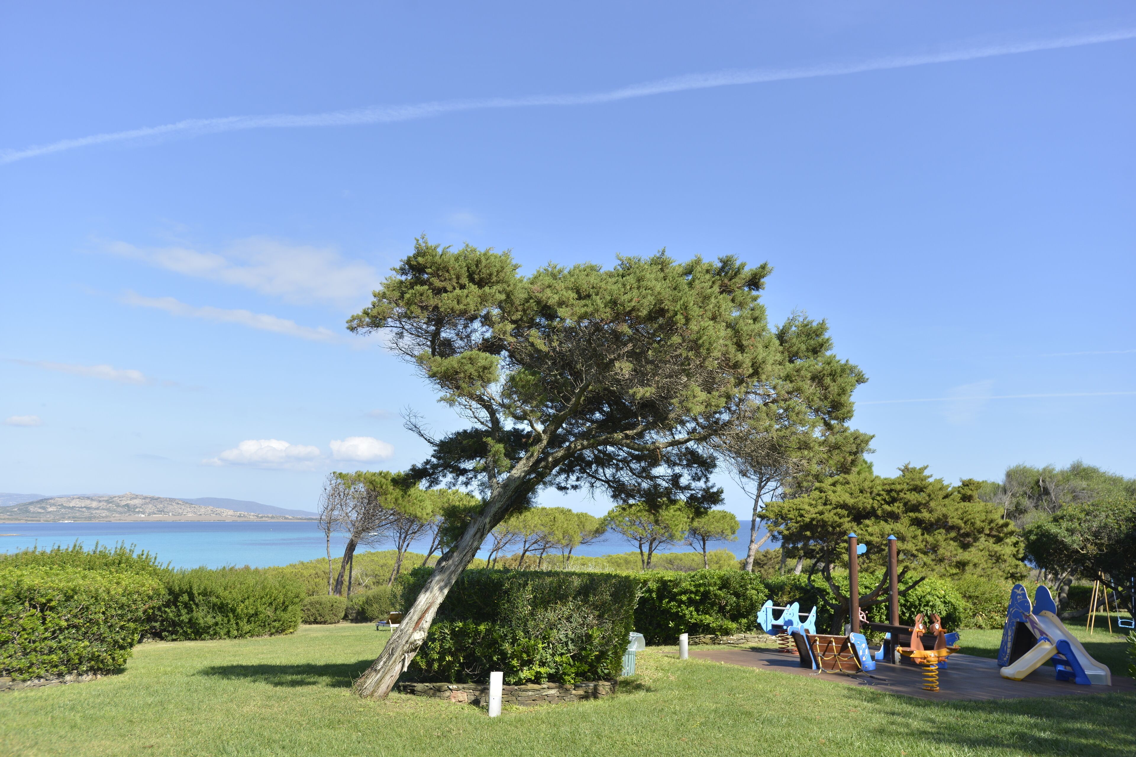 Um parquinho com escorregadores e balanços, rodeado por vegetação e uma vista desimpedida do mar.