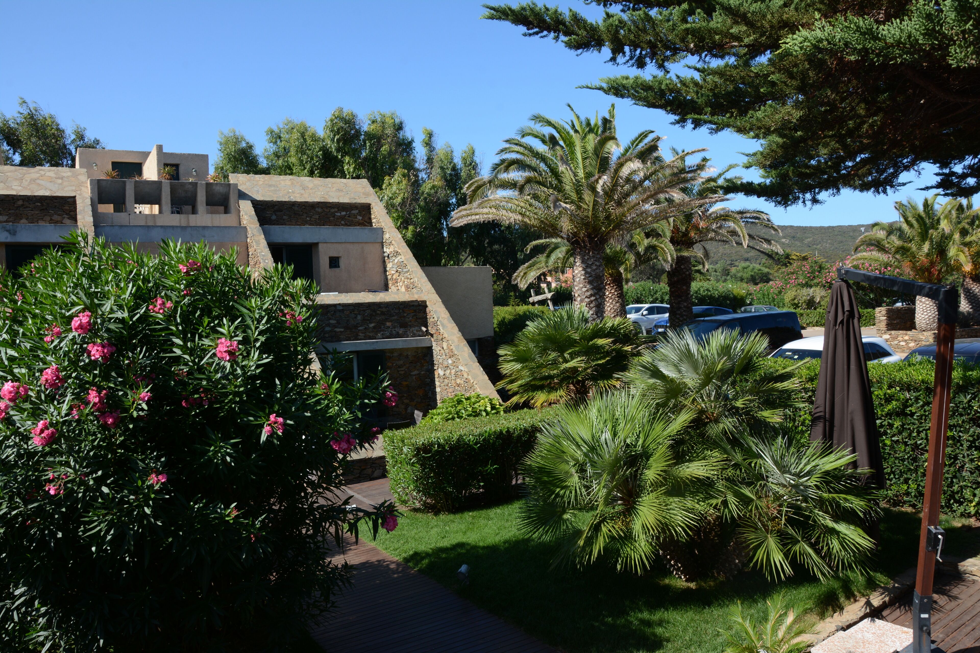 A modern building with a stone facade, surrounded by lush greenery and palm trees.