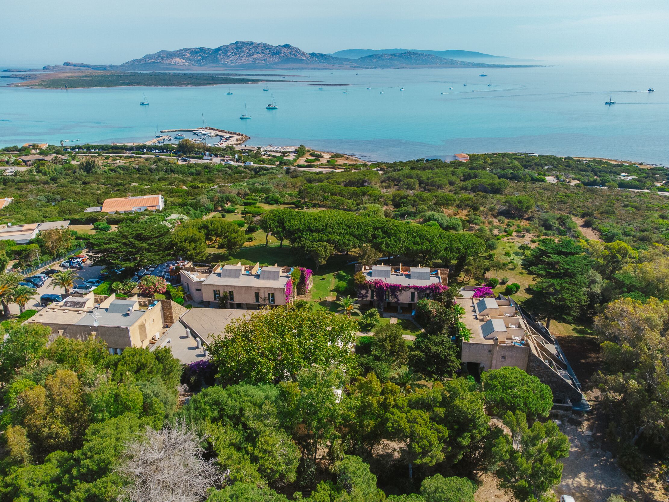 A coastal area with a marina, lush greenery, and buildings with flat roofs.