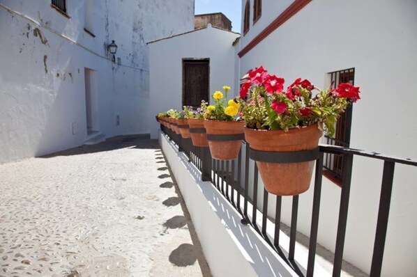 A narrow alley with white walls, a black metal railing, and terracotta flower pots with red and yellow flowers. - Hotel El Convento (Arcos de la Frontera)