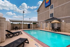 حمّام سباحة خارجي موسمي، مفتوح من 10 صباحًا إلى 10 مساءً، مقاعد للتشمس