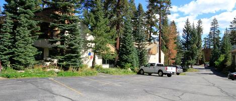 A parking lot with a building and tall trees in the background.