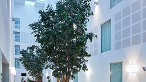 Un interior moderno con un gran árbol, paredes blancas y un techo con tragaluces.