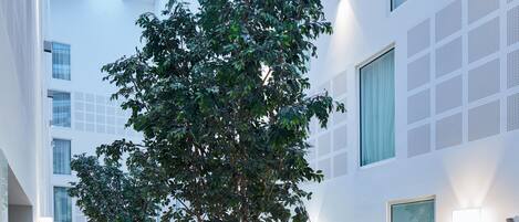 A modern interior with a large tree, white walls, and a ceiling with skylights.